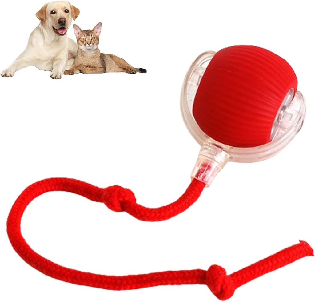 PawPlay Interactive Cat Ball