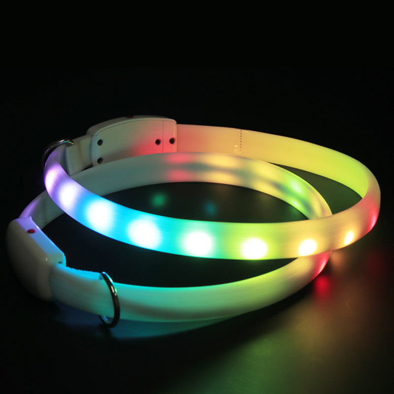 NightWalk LED Dog Collar
