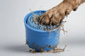 PawWipe Pet Paw Cleaner Cup