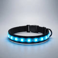NightWalk LED Dog Collar