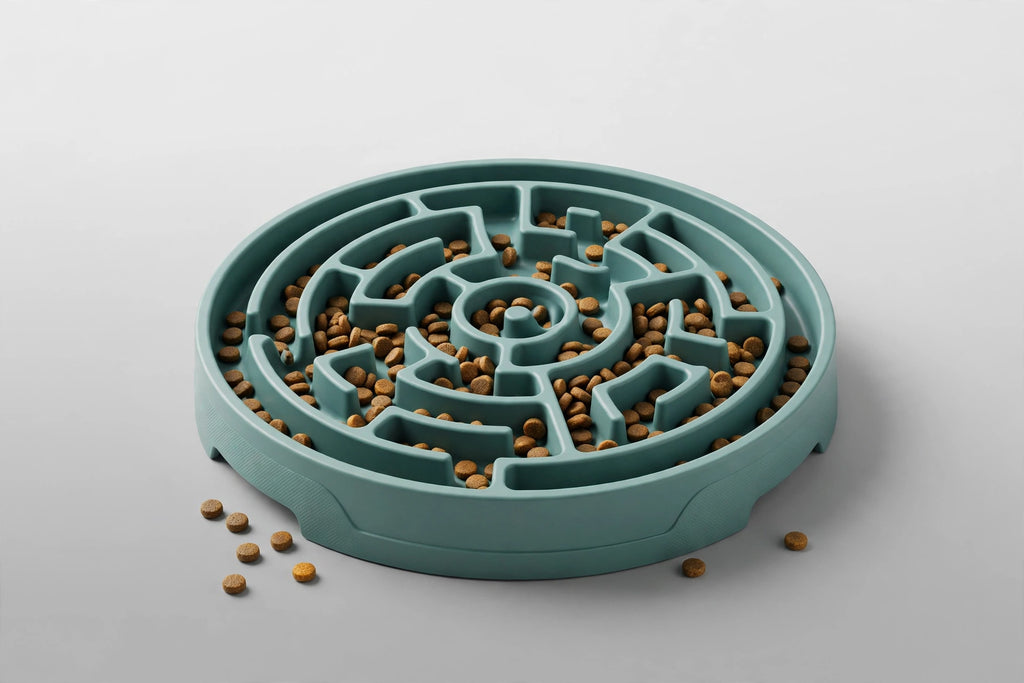 SlowChow Puzzle Bowl